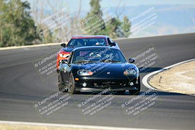 media/Mar-01-2025-Turn8 Trackdays (Sat) [[3bac13d0ad]]/Inter 3/Session 1 (Turns 2 and 3)/